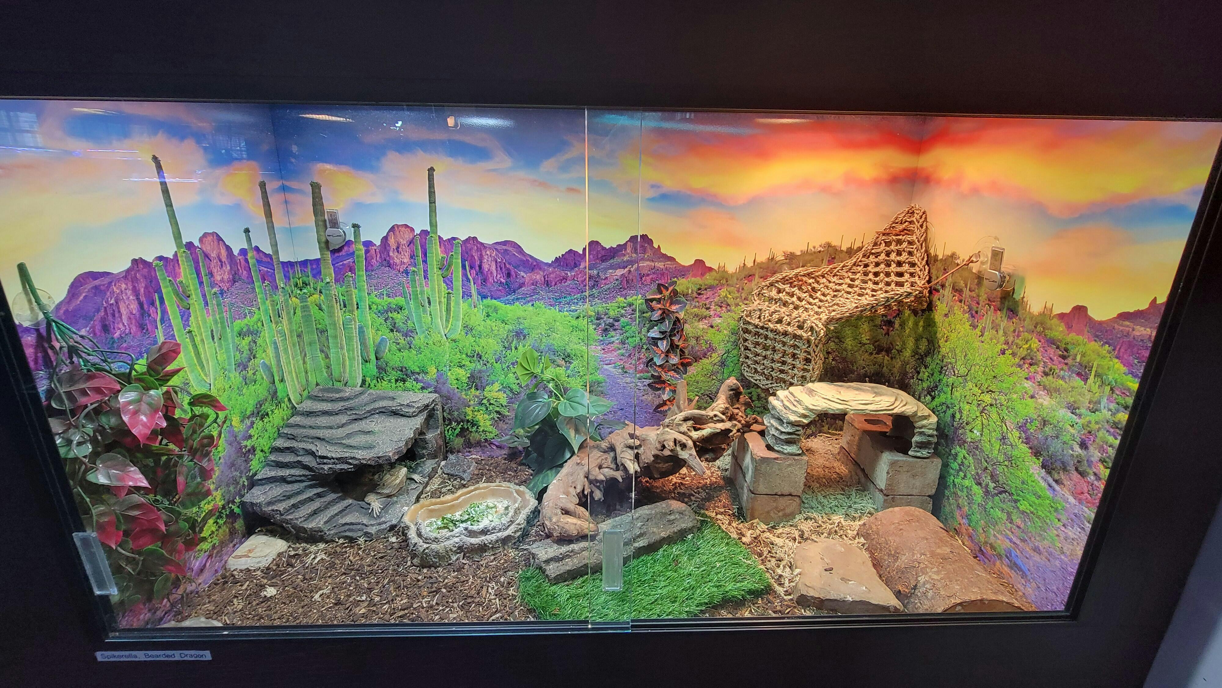 4'x2'x2.5' | Custom HDPE-PVC Reptile Enclosure | Luxury Reptile