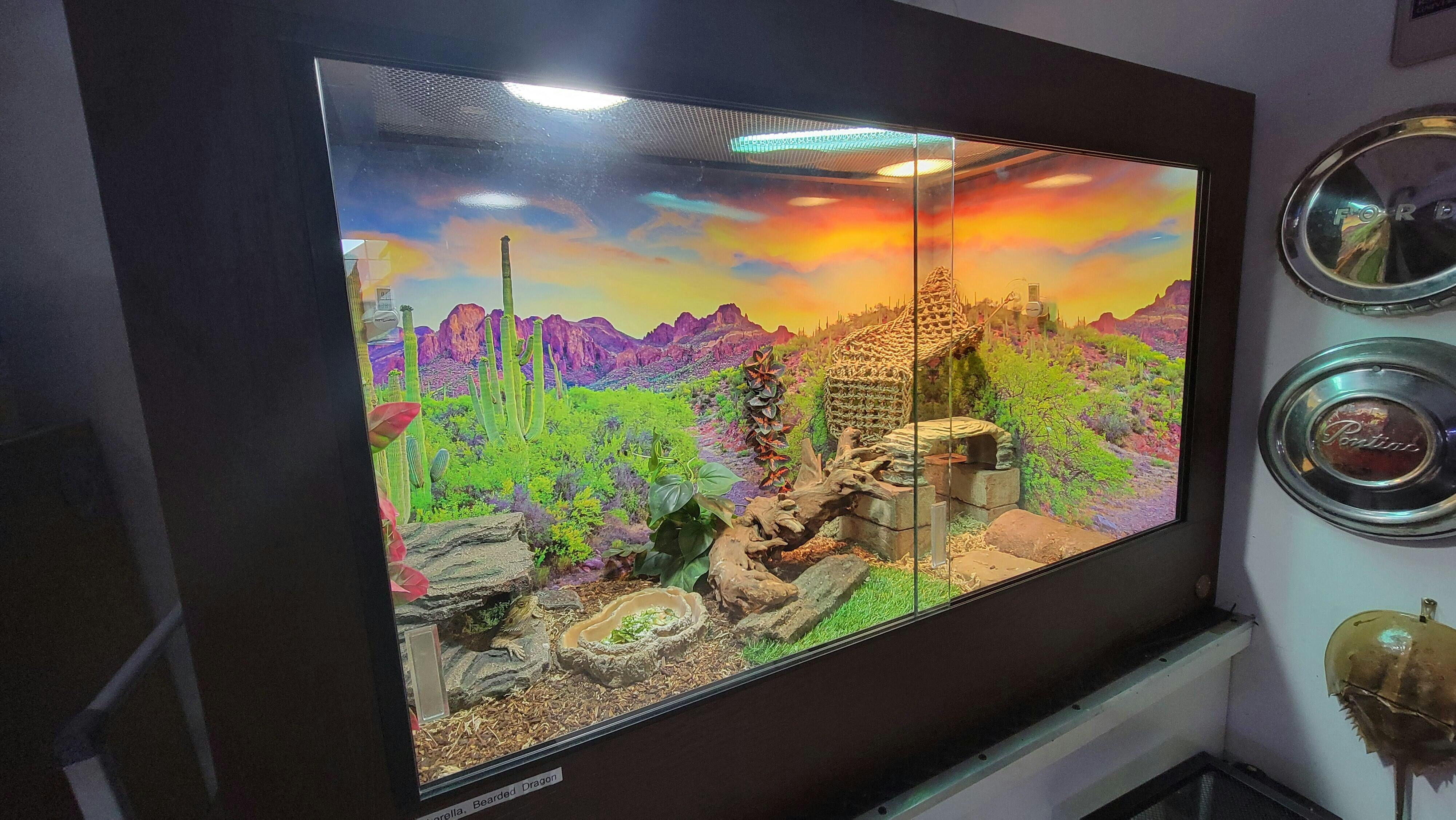 4'x2'x2.5' | Custom HDPE-PVC Reptile Enclosure | Luxury Reptile