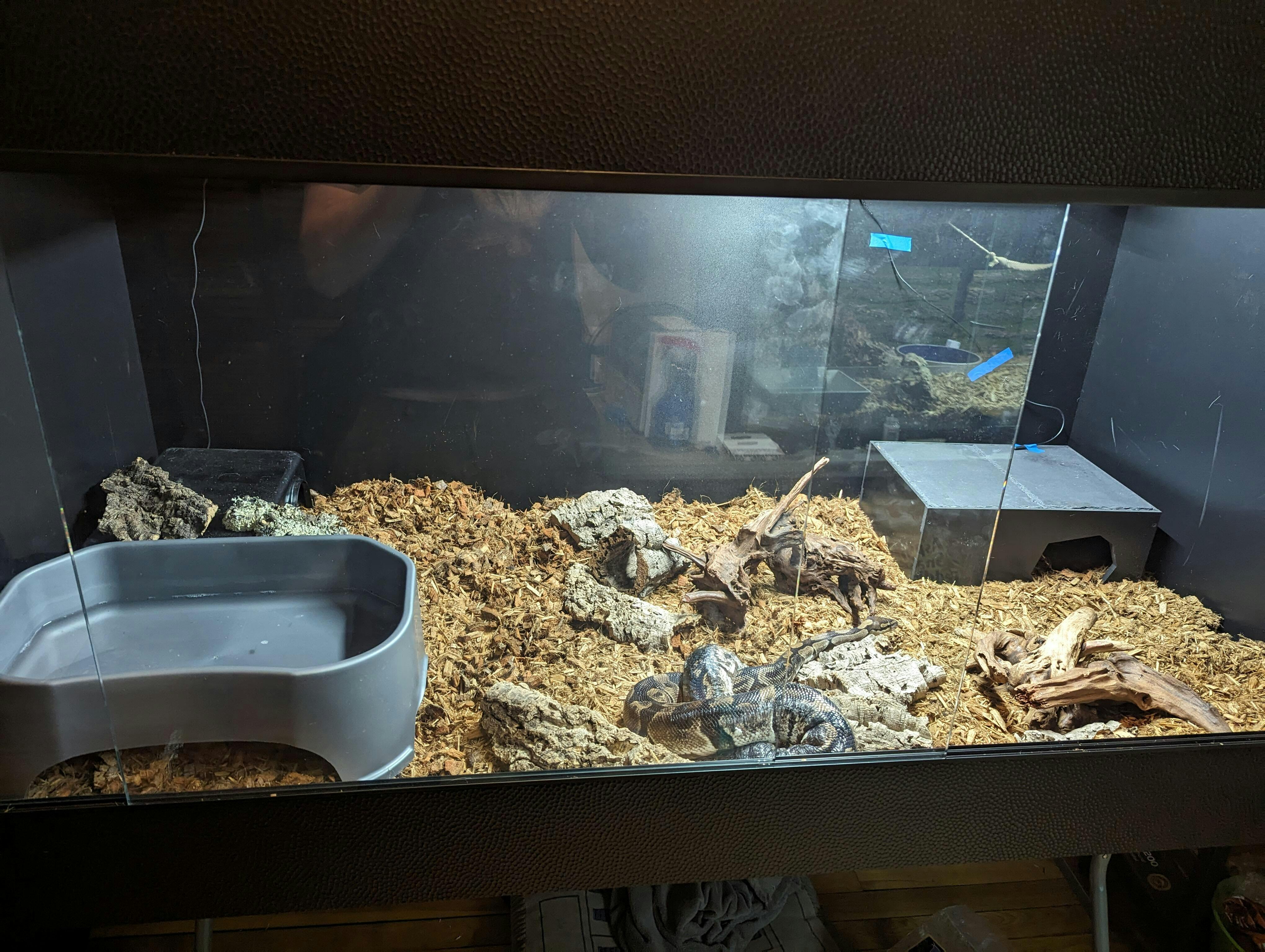 6'x3'x3' Reptile Enclosure | ToadRanchCages.com – Toad Ranch