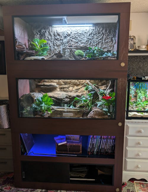 4'x2'x2' | Premium HDPE & PVC Reptile Enclosure | 4 Foot Luxury Reptile Cage