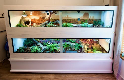 8x2.5x2' | Premium HDPE-PVC Reptile Enclosure | Large 8-Foot Luxury Reptile Cage