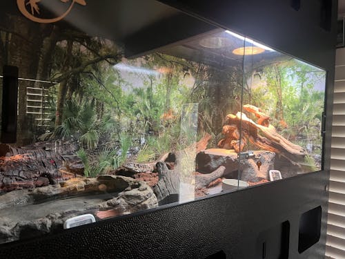 6'x3'x3' | Custom HDPE-PVC Reptile Enclosure | Luxury Reptile Cage