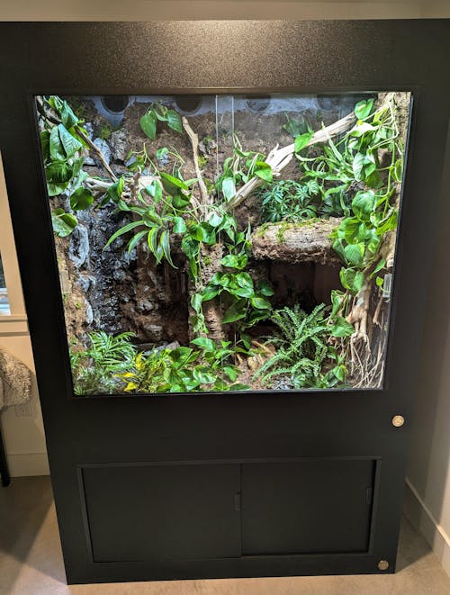 4'x2'x4' | Premium HDPE-PVC Arboreal Reptile Enclosure | 4-Foot-Tall Luxury Reptile Cage