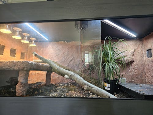 s-TEGU-saurus Sanctuary | 8'x4'x4' Reptile Enclosure | Premium HDPE-PVC Reptile Enclosure |