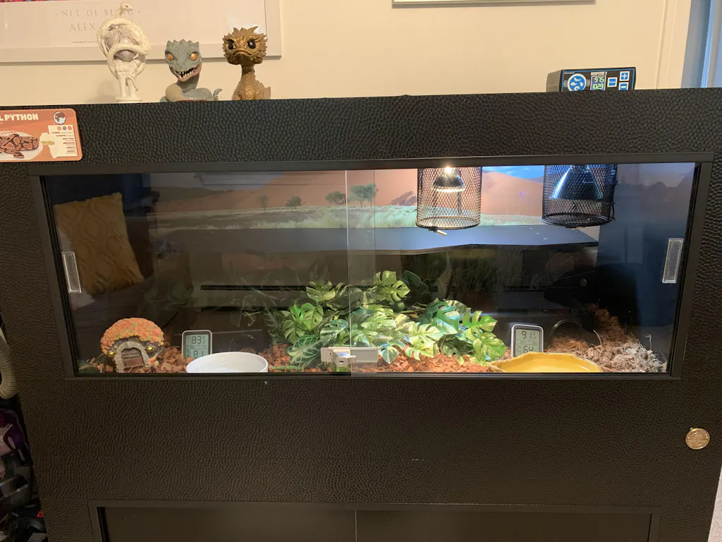 Quality Reptile Enclosures | Luxury Reptile Habitats by Toad Ranch