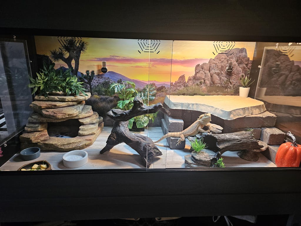 4'x2'x2' | Premium HDPE & PVC Reptile Enclosure | 4 Foot Luxury Reptile Cage