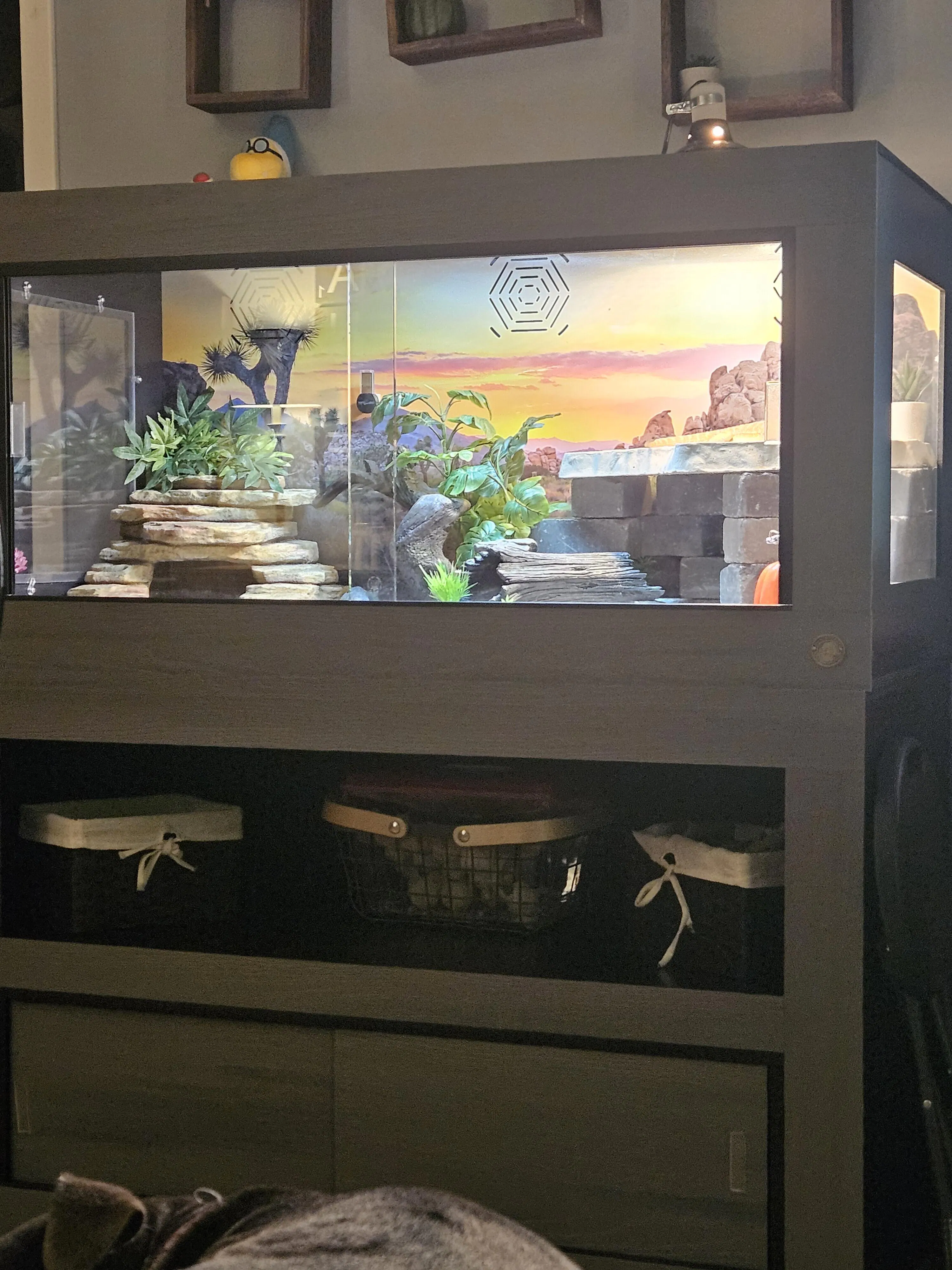 Quality Reptile Enclosures | Luxury Reptile Habitats by Toad Ranch