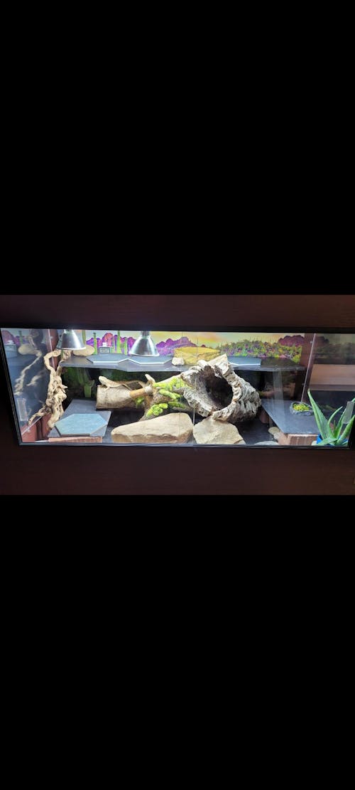 4'x2'x2' | Premium HDPE & PVC Reptile Enclosure | 4 Foot Luxury Reptile Cage
