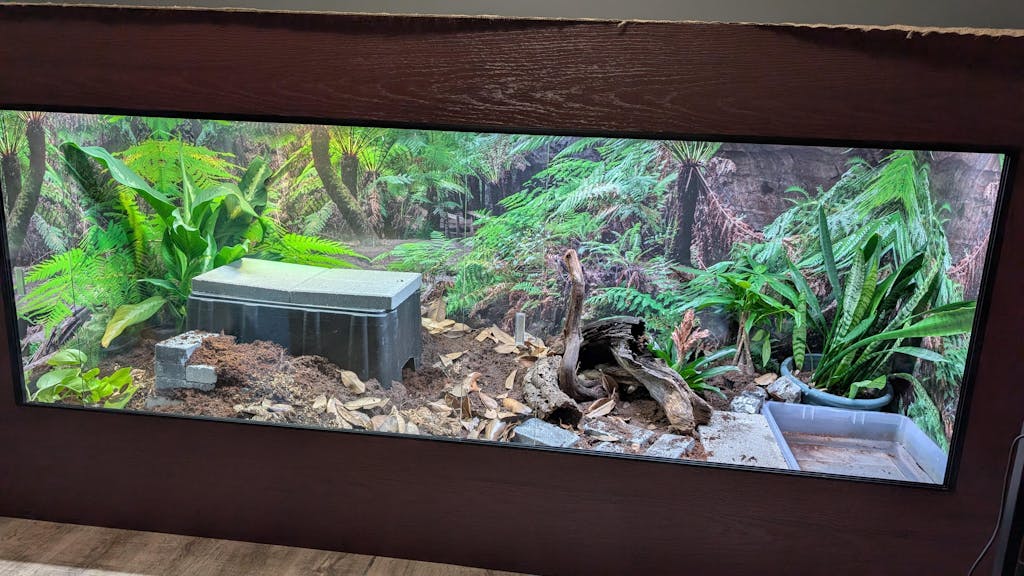 8x3x4' | Custom HDPE-PVC Reptile Enclosure | Luxury Reptile Cage