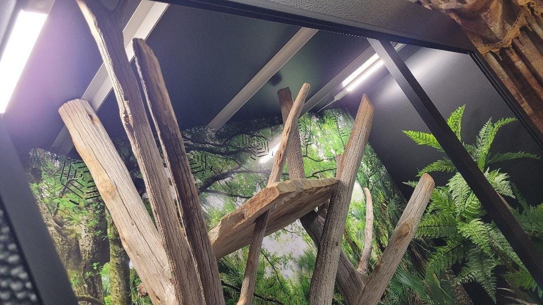 6'x2'x4' Reptile Enclosure | ToadRanchCages.com – Toad Ranch