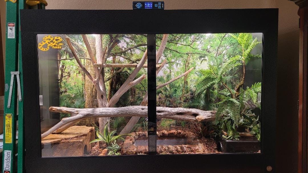 6'x2'x4' Reptile Enclosure | ToadRanchCages.com – Toad Ranch
