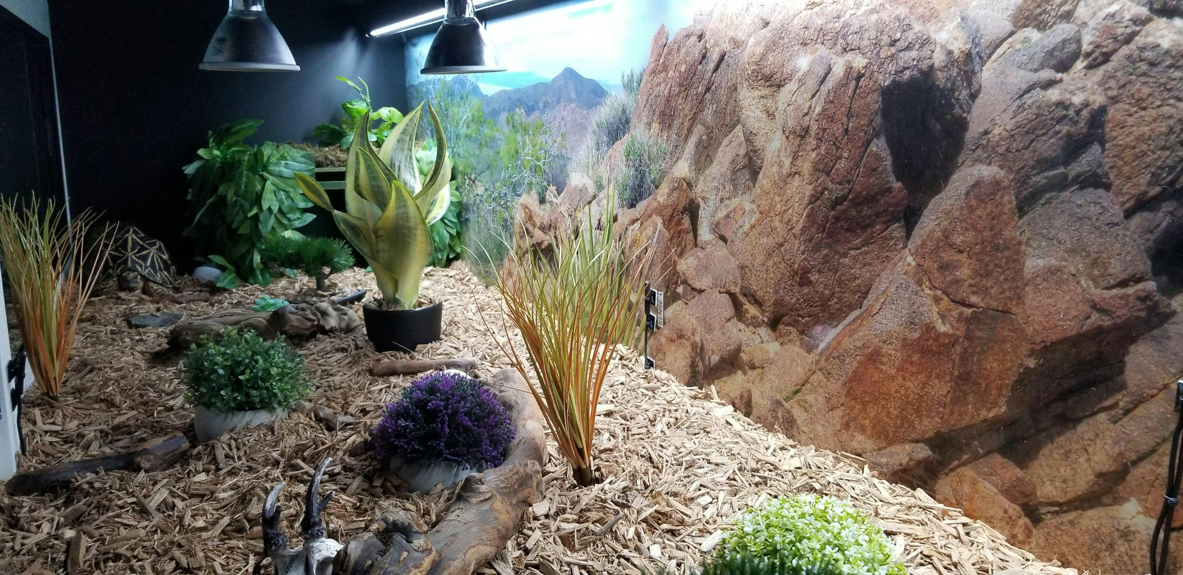 8'x2.5'x2' | Premium HDPE-PVC Reptile Enclosure | Large 8-Foot