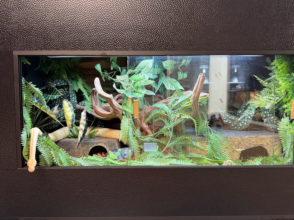 Quality Reptile Enclosures | Luxury Reptile Habitats by Toad Ranch