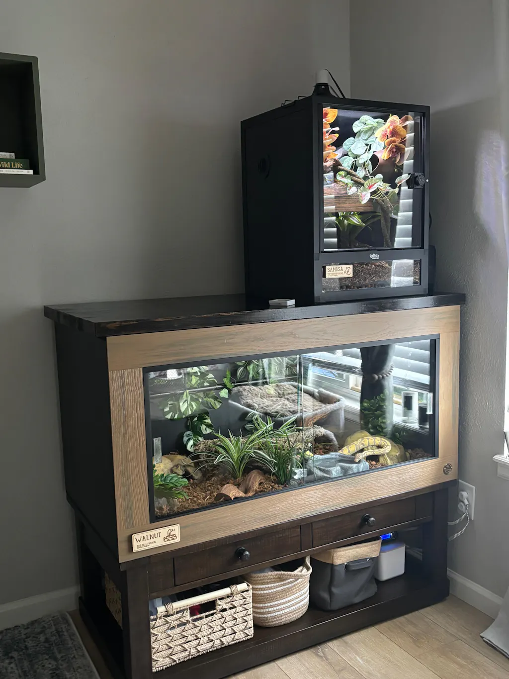 Quality Reptile Enclosures | Luxury Reptile Habitats by Toad Ranch