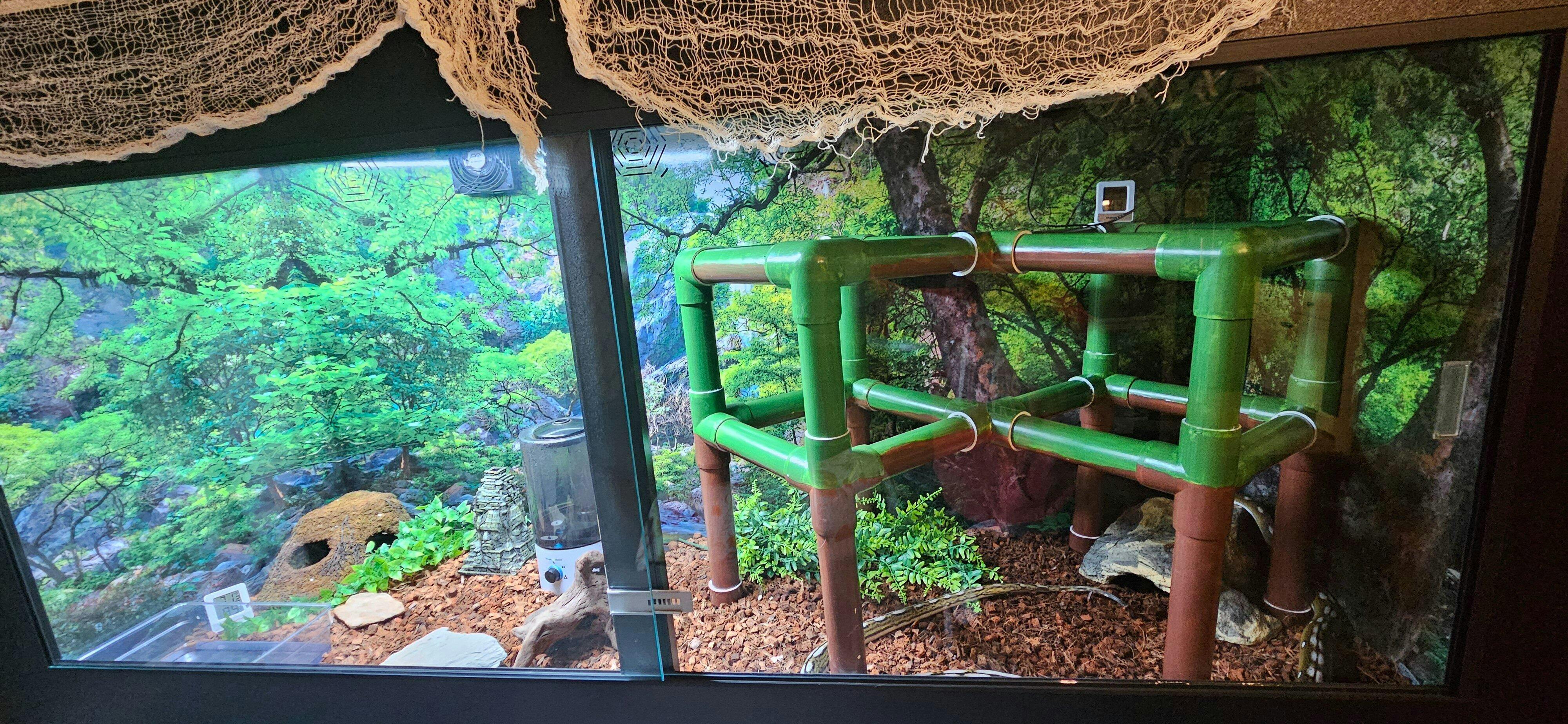 6'x2'x3' Reptile Enclosure | ToadRanchCages.com – Toad Ranch