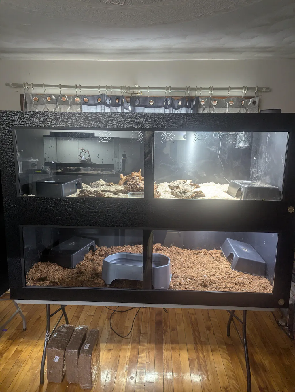 Custom Luxury Reptile Enclosures & Habitats | Toad Ranch USA