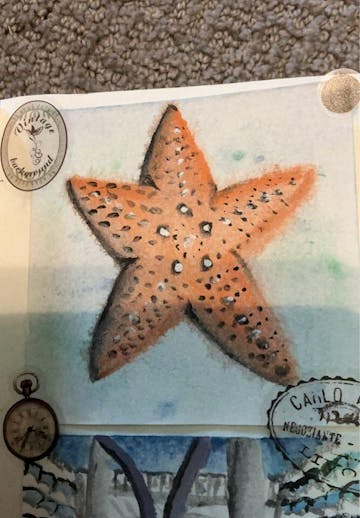 Review image from Sophie