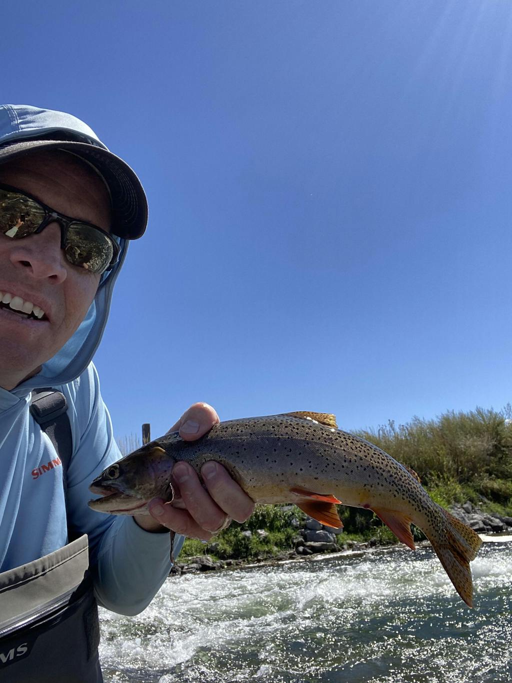 Togens Dry Fly Barbless Togens Fly Shop