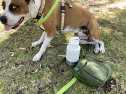 TOKIO Trek Bottle White