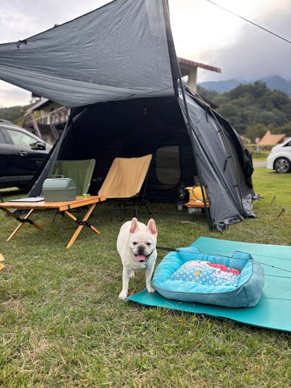 tokyocrafts テンビシェルター ルーフ付 別メーカー跳ね上げポール付 tokyocrafts テンビシェルター ルーフ付 別メーカー跳ね上げポール付