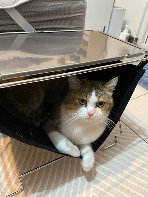 コードユニット 薪ホルダー