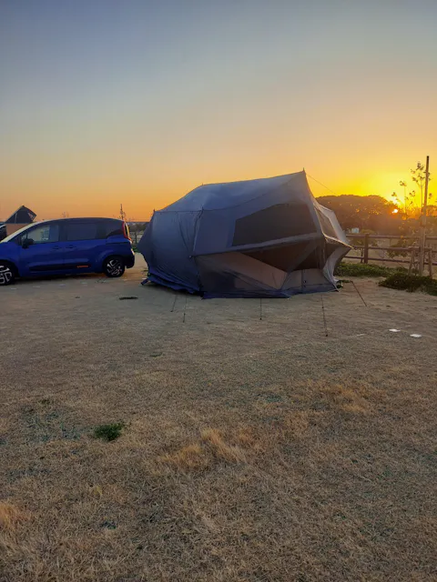 グラハス（インナールーフ付属）