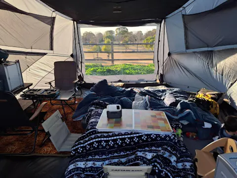 グラハス TPUウィンドウ ２枚入り