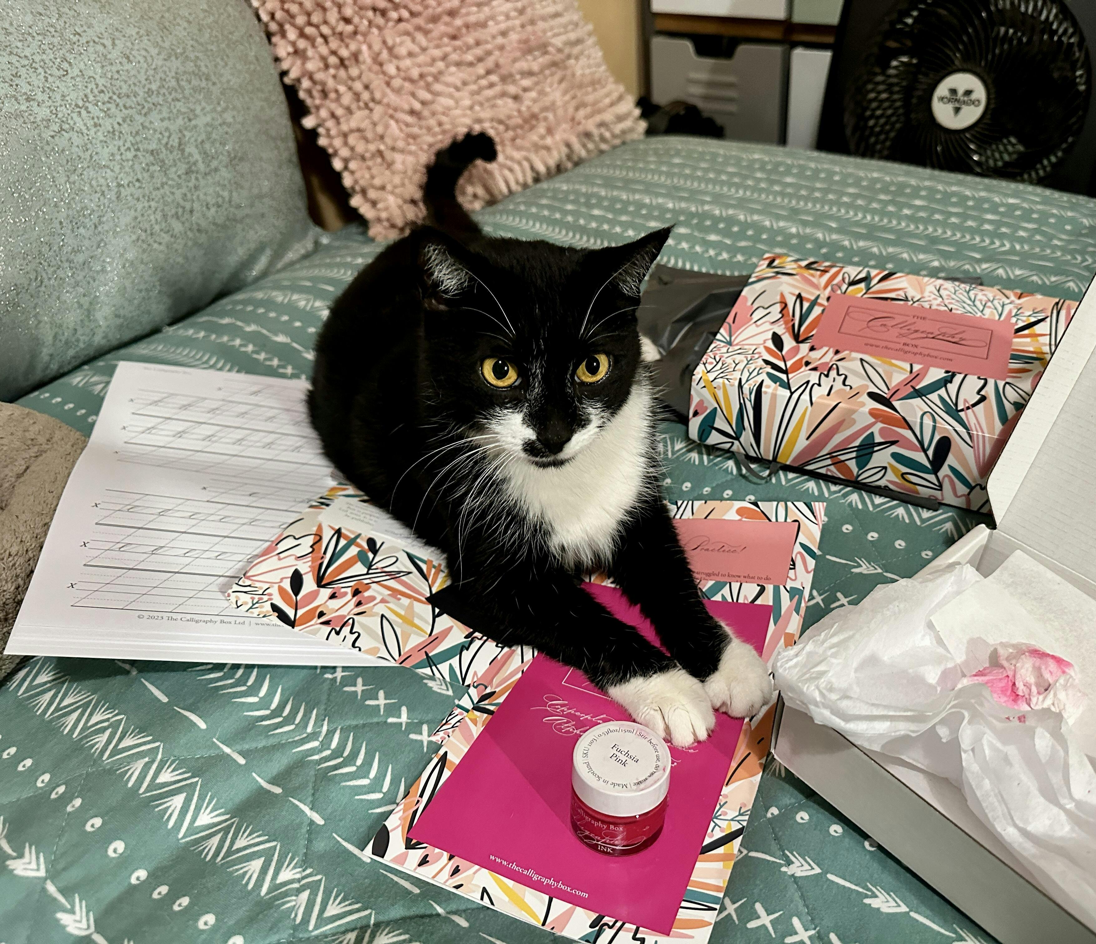 Flourish Calligraphy Pen Tom's Studio