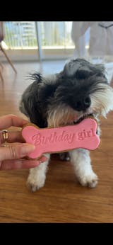 Birthday Bone Box