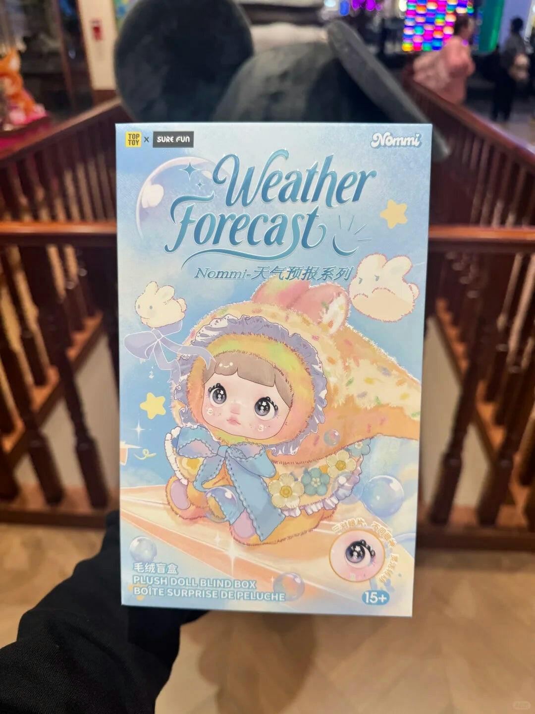 NOMMI 天気予報シリーズ ぬいぐるみ ブラインドボックス – TOPTOY
