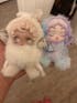 SKULLPANDA L'impressionnisme Series Plush Doll Blindbox