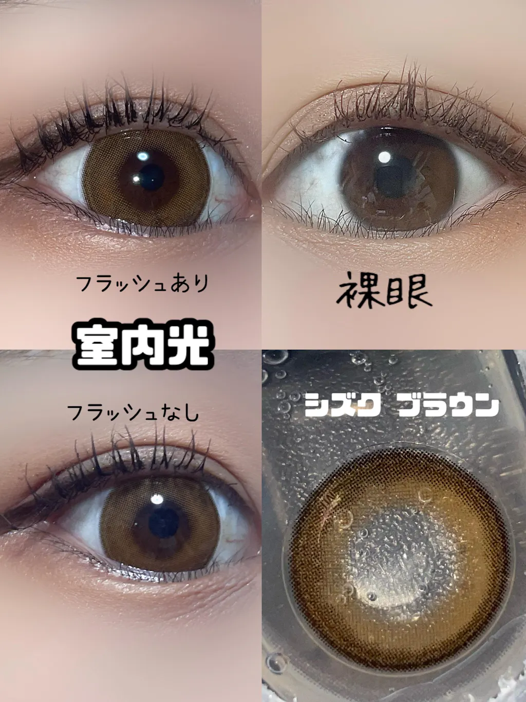 る〜か　ブラウン 国内4月3日発売予定】アディダス オリジナルス ZX 10000 