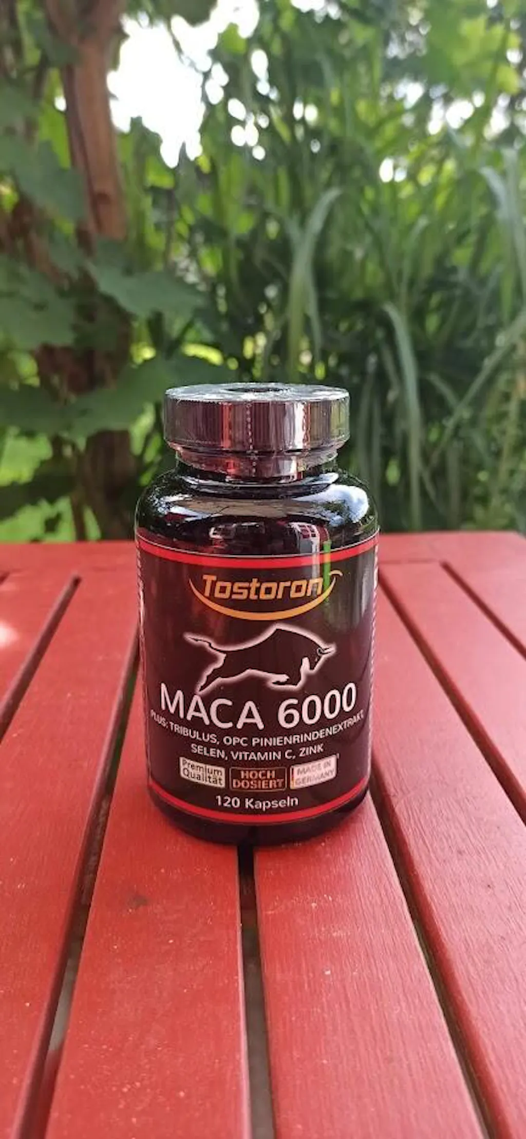MACA 6000