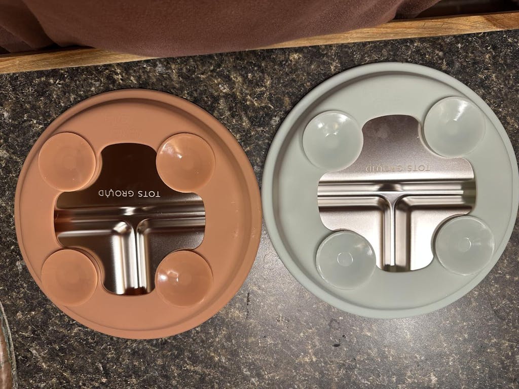 Stainless Steel Plate Set of 2 (Mocha Mousse & Sage Green)