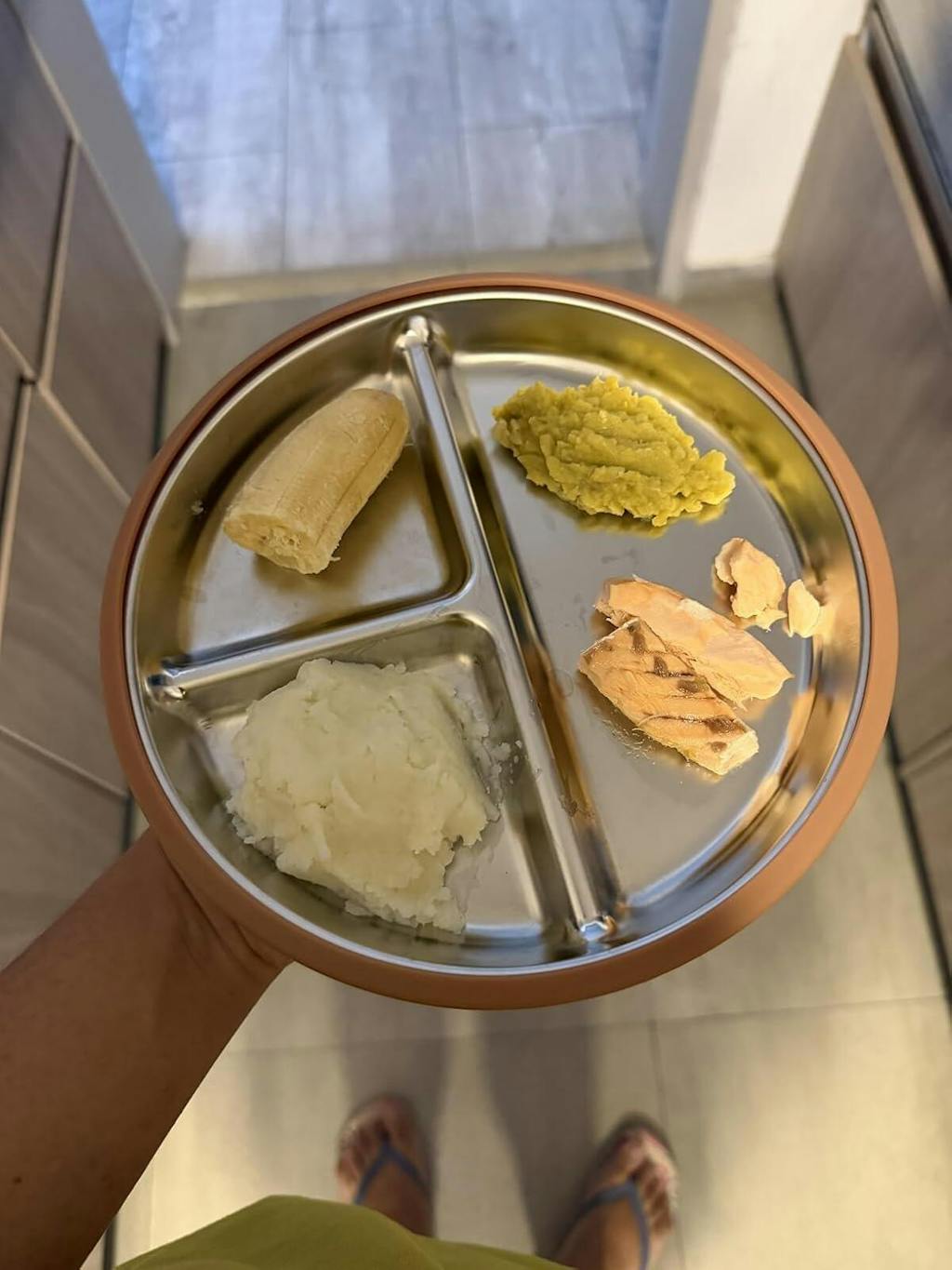 Stainless Steel Plate Set of 2 (Mocha Mousse & Sage Green)