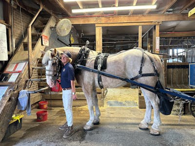 Charleston Tour Pass