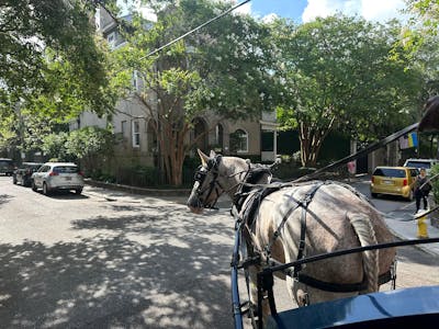 Charleston Tour Pass