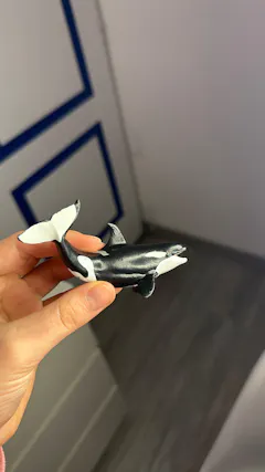 Review picture
