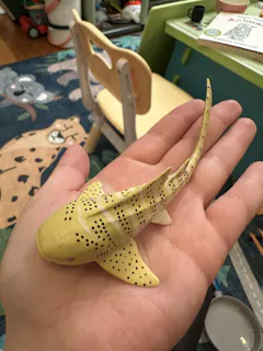 Review picture