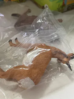 Review picture