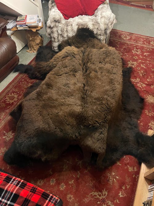 Buffalo/Bison Hair-On Hide Rug | Classic First-Grade