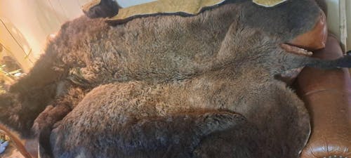 Buffalo/Bison Hair-On Hide Rug | Classic First-Grade