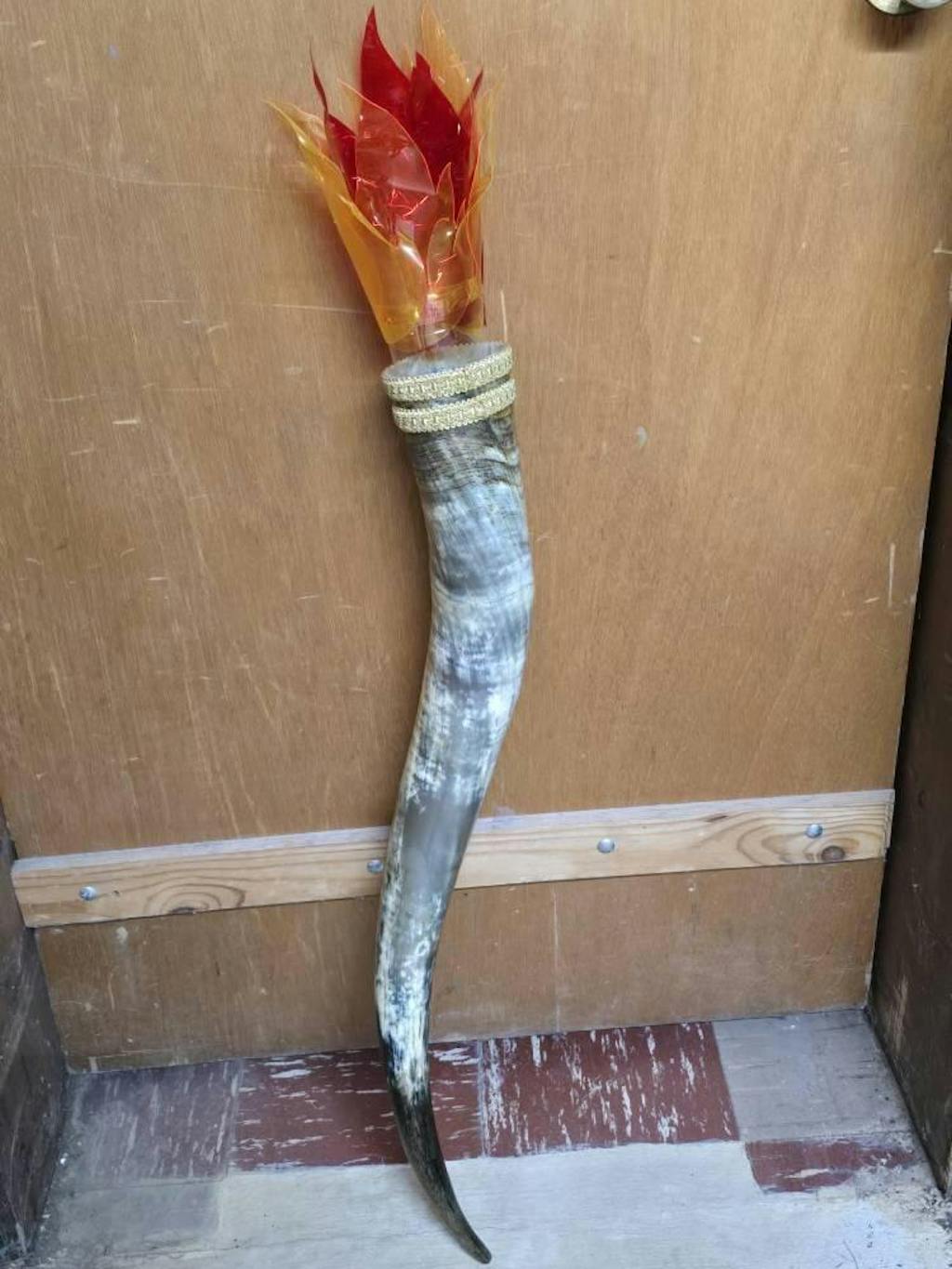 Natural Unpolished Longhorn | Raw Display Horn - 24 to 30 Inches