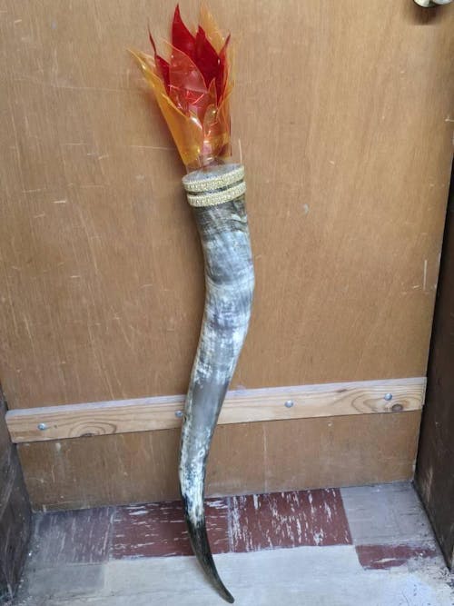 Natural Unpolished Longhorn | Raw Decorative Display Horn – 24" to 30" Inches