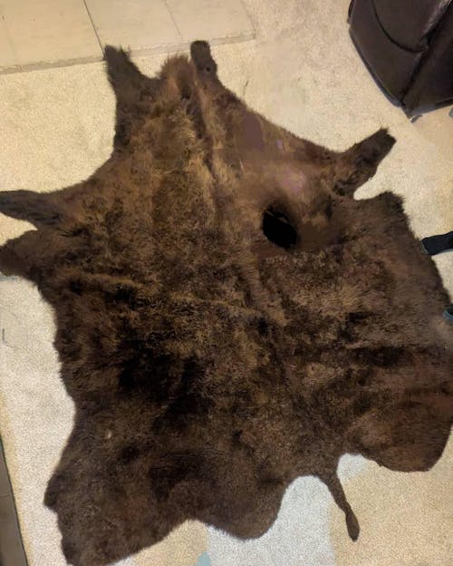 Buffalo/Bison Hair-On Hide Rug | Classic First-Grade