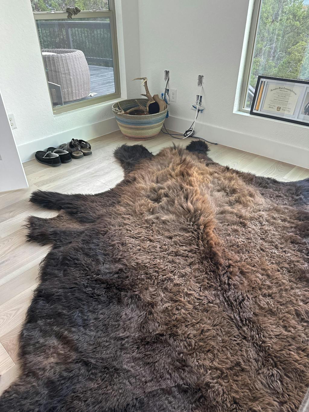 Bison Hide Rug | First-Grade Hair-On – Natural American Buffalo