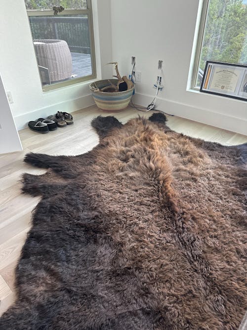 Buffalo/Bison Hair-On Hide Rug | Classic First-Grade