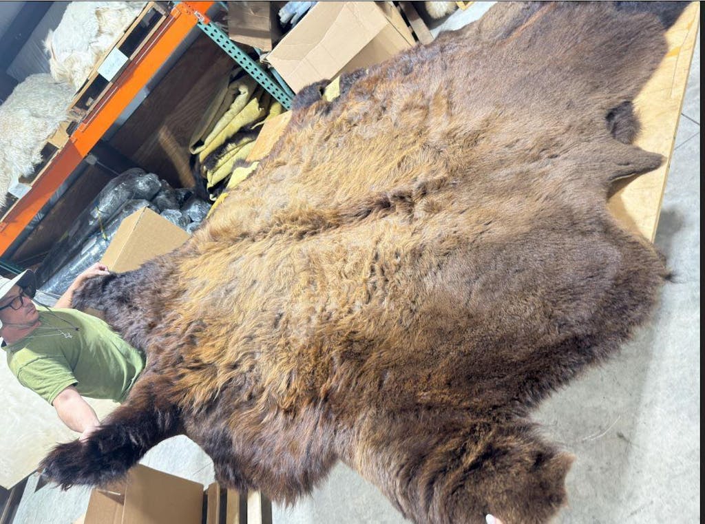 Bison Hide Rug | First-Grade Hair-On – Natural American Buffalo