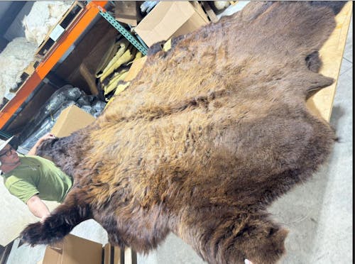 Buffalo/Bison Hair-On Hide Rug | Classic First-Grade