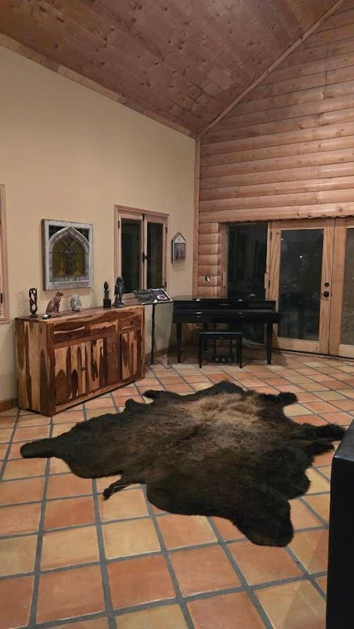 Buffalo/Bison Hair-On Hide Rug | Classic First-Grade